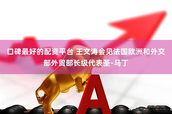口碑最好的配资平台 王文涛会见法国欧洲和外交部外贸部长级代表圣-马丁